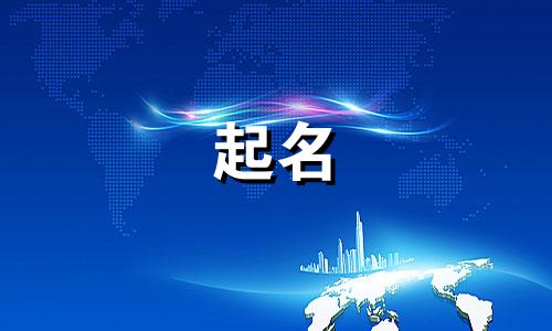 域名的起名规范有哪些内容