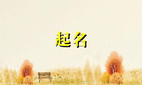 网友起名的能力有哪些呢