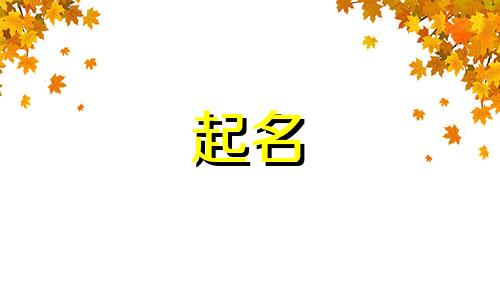 姓陈都有哪些字辈起名