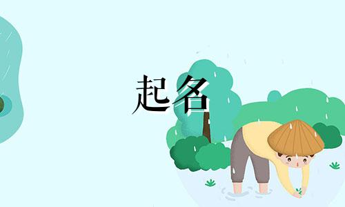 在日本起名规则有哪些字体