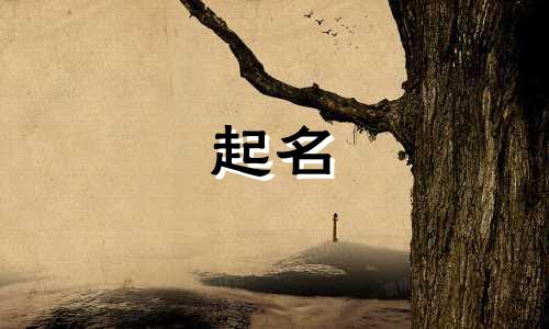 起名有格调的单字有哪些
