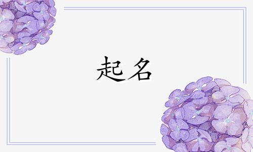 起名推广平台有哪些品牌