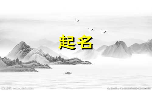 卢起名女孩名字小名有哪些