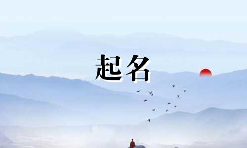 起名书籍封面网站有哪些