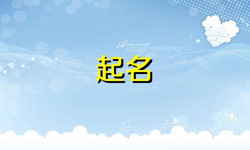 品牌起名方面的书有哪些