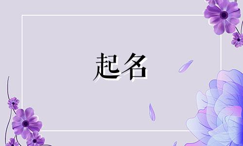 日照超市起名字有哪些