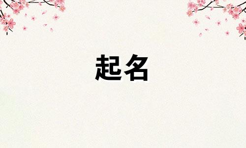 兔宝宝起名带哪些字好