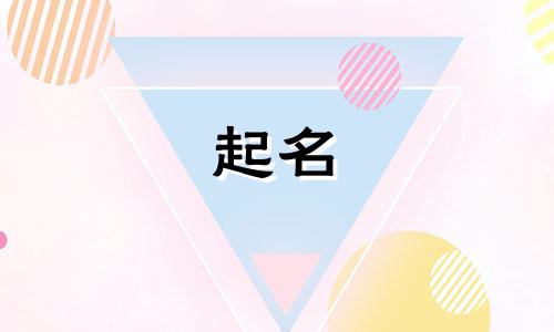 关于新年起名的寓意有哪些