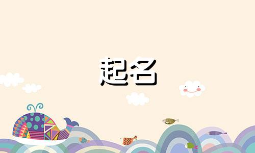 公司起名神器有哪些名字好听