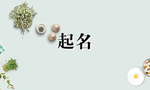 汝州市起名大师有哪些