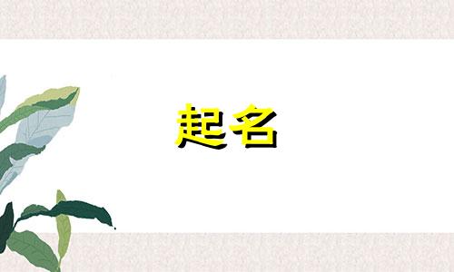 合适起名的诗词有哪些呢