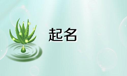 有趣的起名法有哪些名字