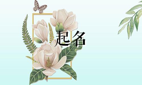 起名比较文雅的字有哪些