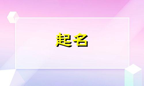 创意商标起名法规有哪些