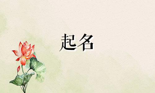 宠物起名小技巧有哪些呢