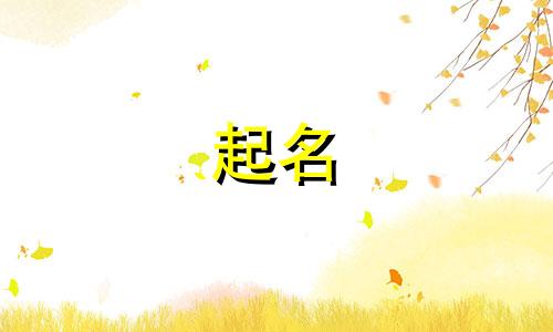 不能起名的名字有哪些字