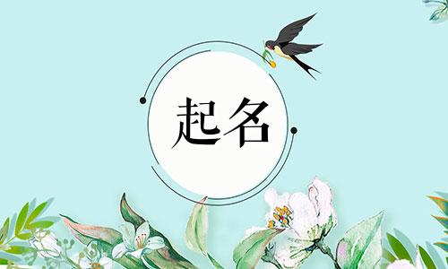 公司起名霸道的寓意有哪些