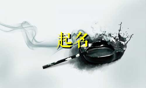 宠物起名套路有哪些呢女孩