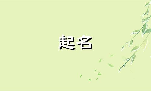 起名讲究偏旁的字有哪些