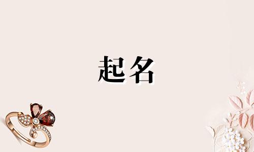 起名可以看哪些书籍呢英语