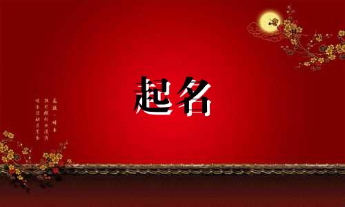 给孩子起名的片段有哪些