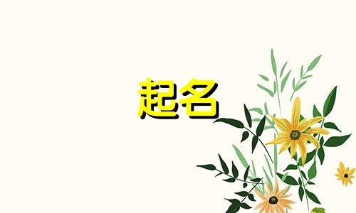 小孩起名忌讳哪些字母和名字