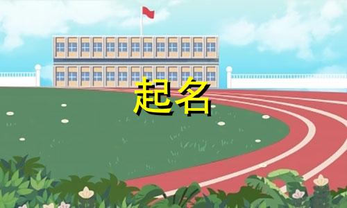 自媒体起名注意点有哪些