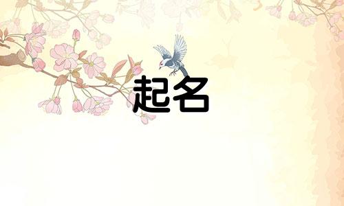 兔宝宝用哪些字起名最好