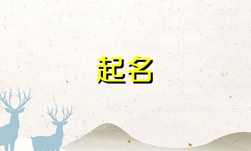 给粉丝起名的明星有哪些