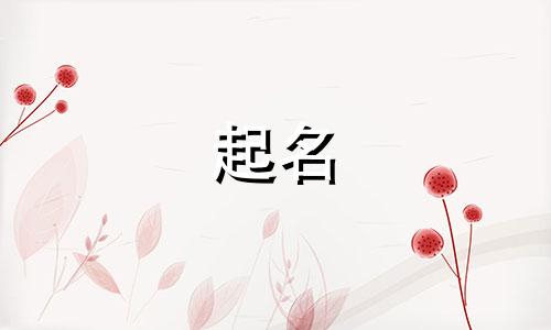 店铺起名肉类有哪些名字