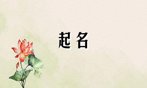 爱宠起名小妙招有哪些
