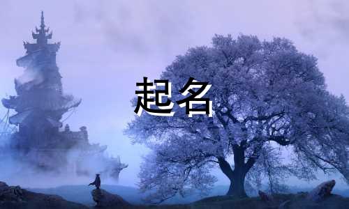 老鼠起名可爱的名字有哪些