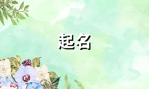 不知名起名废物有哪些
