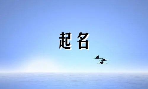 辰字起名跟哪些属相不合