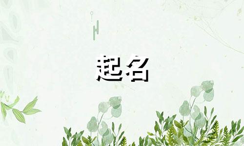 成子起名的名字有哪些