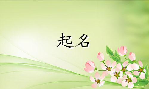 有哪些给企业起名的公司