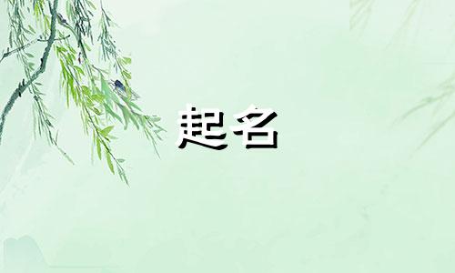 婴儿免费起名网站有哪些