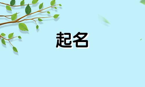 哪些字体可以起名字男孩