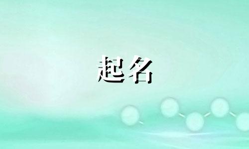 起名的网站建设方案有哪些