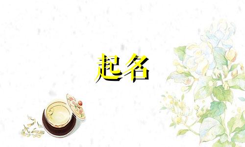 酒吧起名字软件有哪些