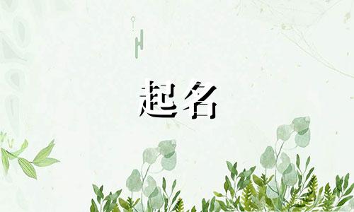 给兔子起名女孩小名有哪些