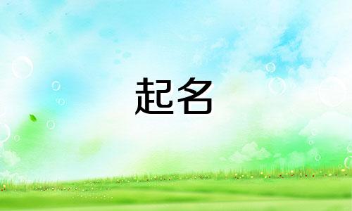 中介起名网站有哪些名字