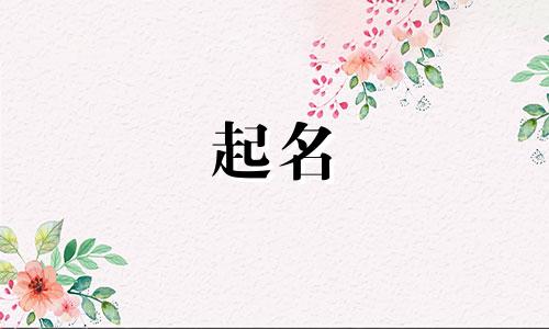 纪录片起名软件有哪些