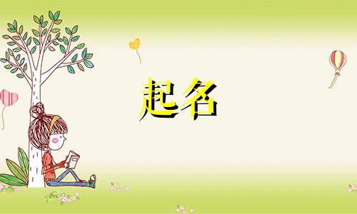 全球起名大赛有哪些人