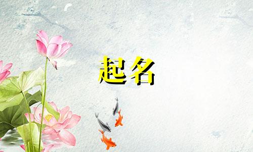 庄子起名推荐的书有哪些