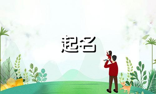 玉米产品的起名有哪些好听