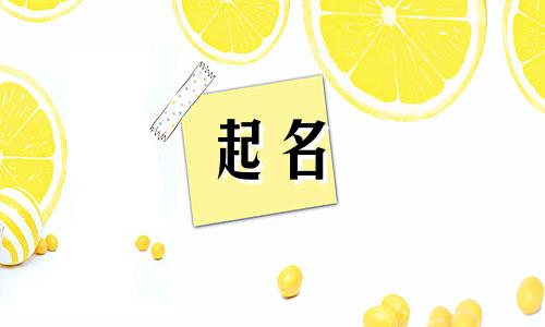 起名中间动词有哪些字好
