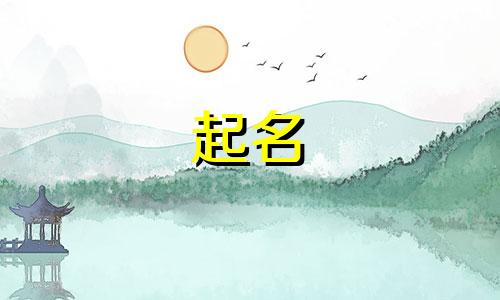 宠物起名流派有哪些品牌