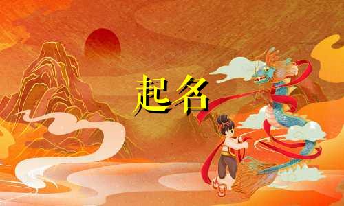 体校起名有哪些大学的好