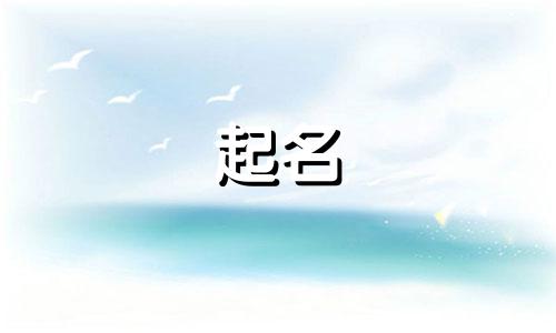 珠宝人起名词有哪些英语